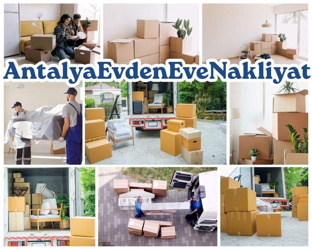 Antalya Borçka Asansörlü Evden Eve Nakliyat